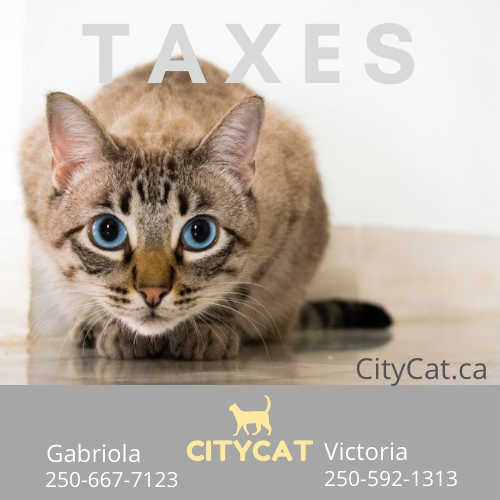CityCat Business Solutions Inc. | 960 Descanso Valley Dr, Gabriola, BC V0R 1X2, Canada | Phone: (250) 592-1313