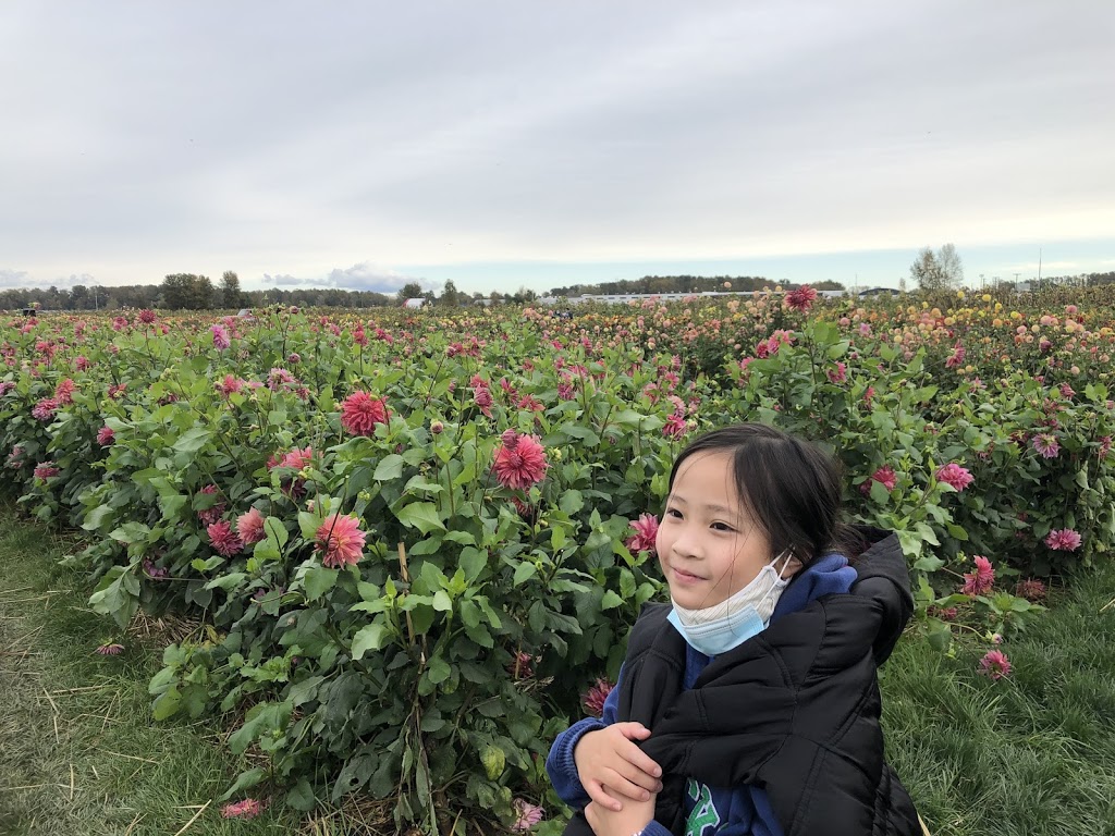 The Pumpkin Patch at Richmond Country Farms | 12900 Steveston Hwy, Richmond, BC V6W 1A3, Canada | Phone: (604) 274-0522