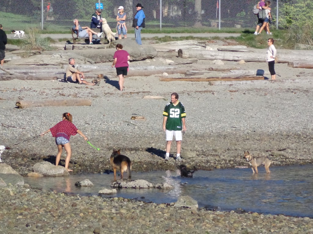 Ambleside Dog Beach | Burrard Inlet, BC, Canada