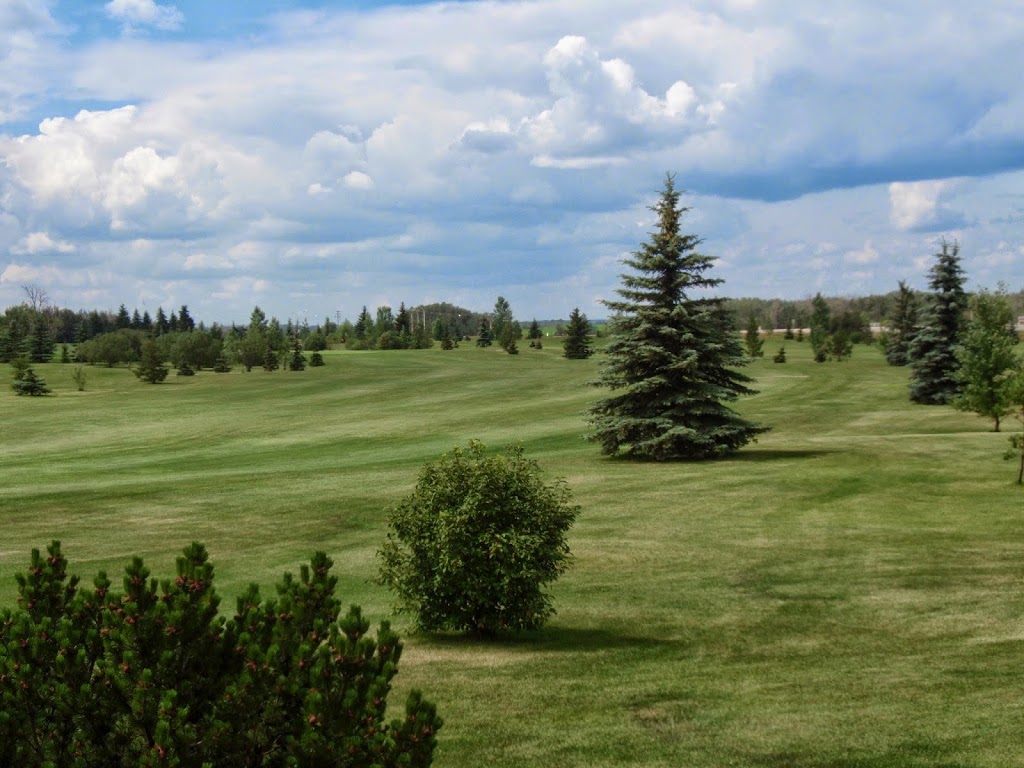 Tofield Golf Course | 19110 AB-14, Tofield, AB T0B 4J0, Canada | Phone: (780) 662-3457
