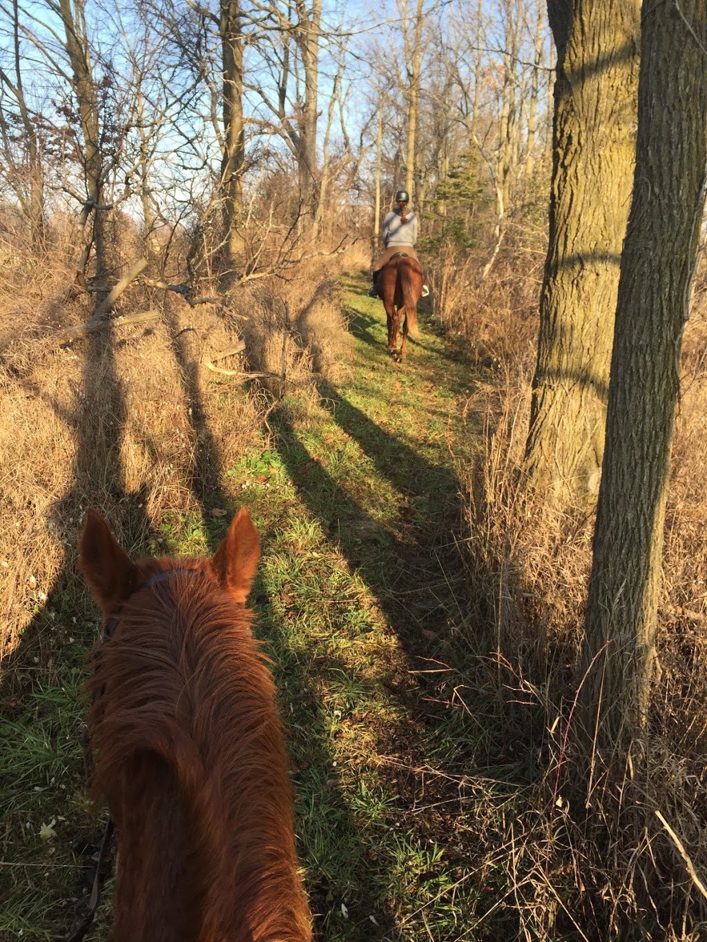 Our Fathers Farm | 1050 Ontario 5, Dundas, ON L9H 5E2, Canada | Phone: (905) 628-8195