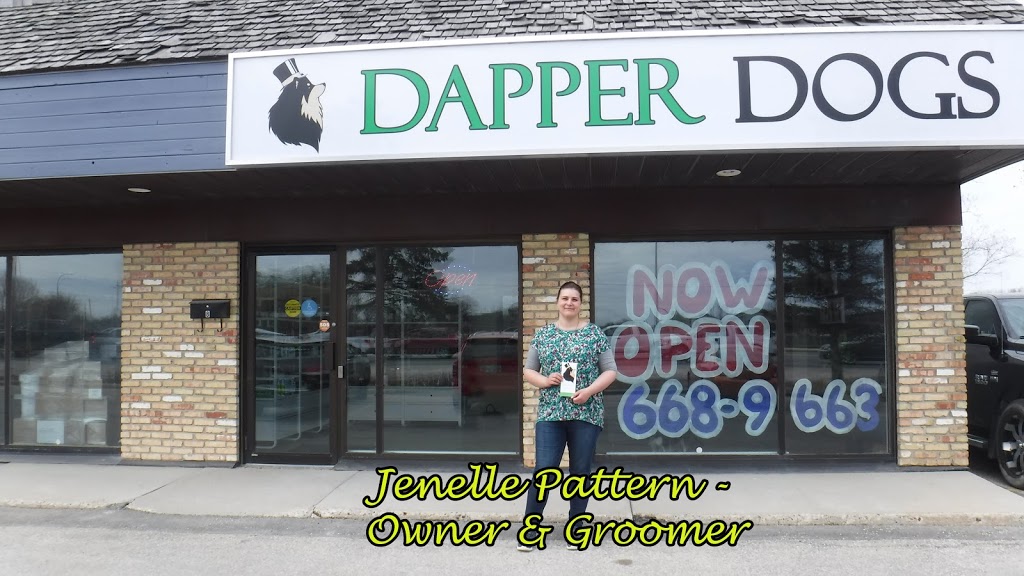 Dapper Dogs | 271 Grassie Blvd, Winnipeg, MB R2G 2L7, Canada | Phone: (204) 668-9663