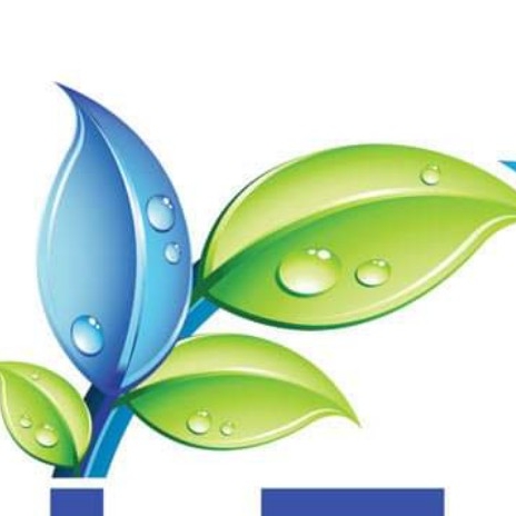 Blue Leaf Cleaners | 288 Grays Rd #5, Hamilton, ON L8E 1V5, Canada | Phone: (905) 769-8002