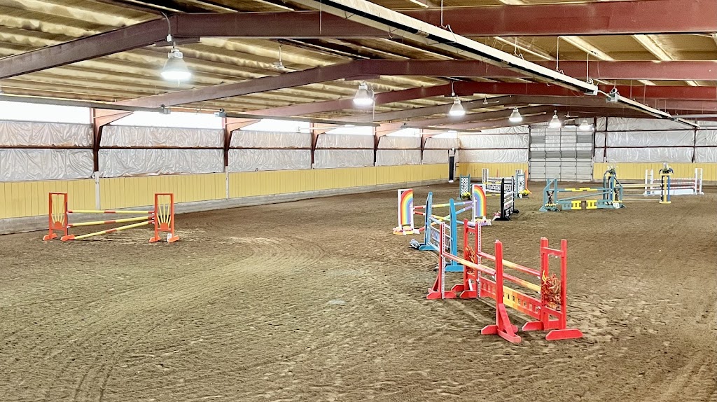 Equine Haven Recovery Care and Equestrian Centre Ltd | 215003, Range Rd 264, Carseland, AB T0J 0M0, Canada | Phone: (403) 973-9693