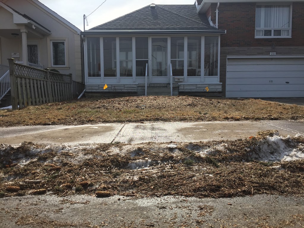 Easy Stump Removal | 10 Strollers Ln, Cheltenham, ON L7C 2B1, Canada | Phone: (905) 749-0905