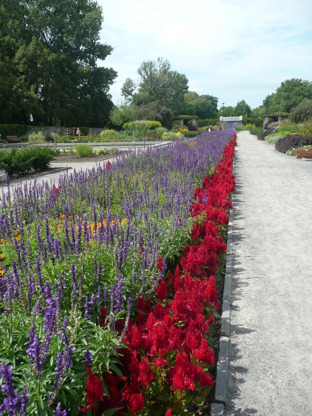 Perennials Garden | Montreal, QC H1X 2B4, Canada