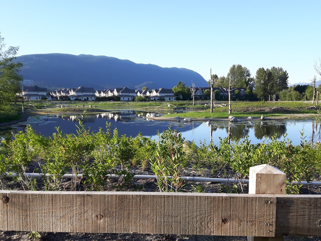 Blakeburn Lagoons Park | 2900 Block, Elbow Pl, Port Coquitlam, BC V3B 7Y4, Canada | Phone: (604) 927-5496