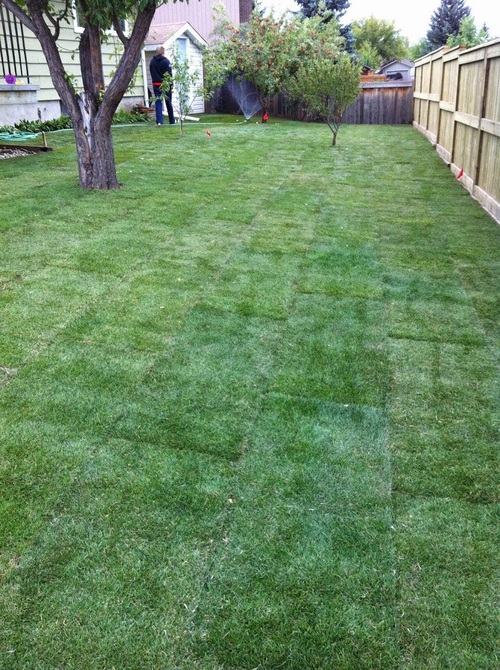 Calgary Sod Masters | 290 Lake Rosen Crescent SE, Calgary, AB T2J 3M1, Canada | Phone: (403) 477-4347