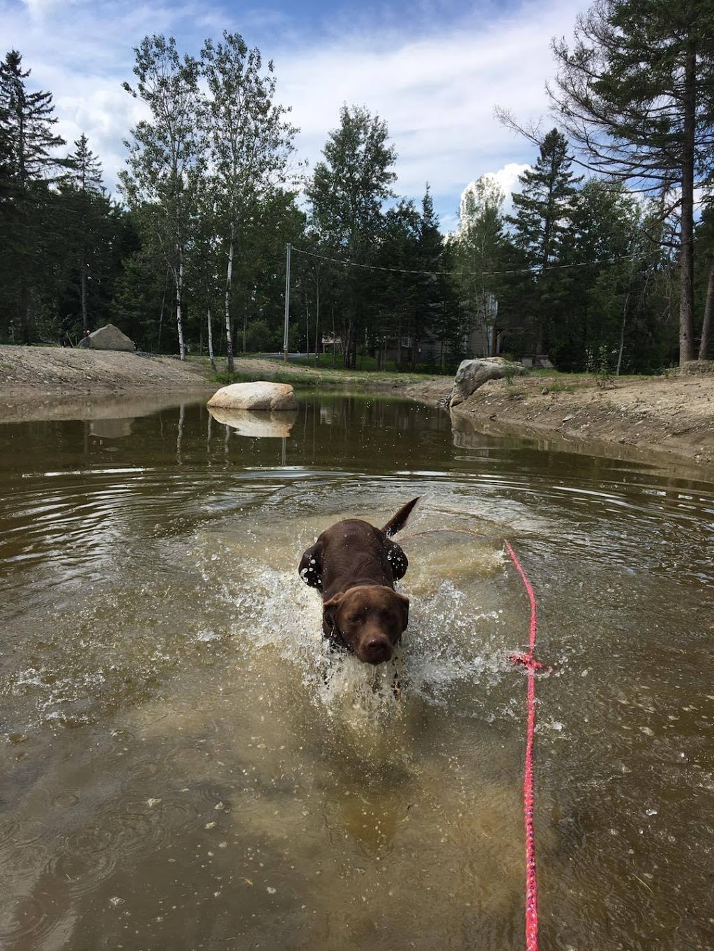 Garderie Le Chien Dor | 7025 35e Av, Saint-Georges, QC G5Y 5C2, Canada | Phone: (418) 225-6002