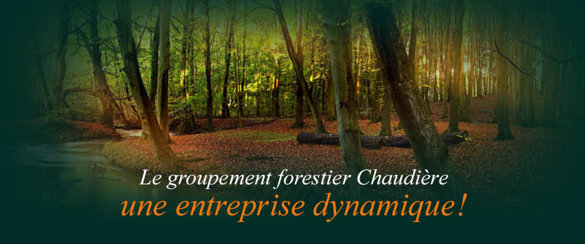 Groupement Forestier Chaudière Inc | 356 Rue Principale, Saint-Victor, QC G0M 2B0, Canada | Phone: (418) 588-6674