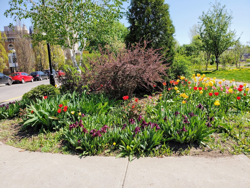 Eclusiers Park | Rue Sainte-Cunégonde, Montréal, QC H3J 2C9, Canada