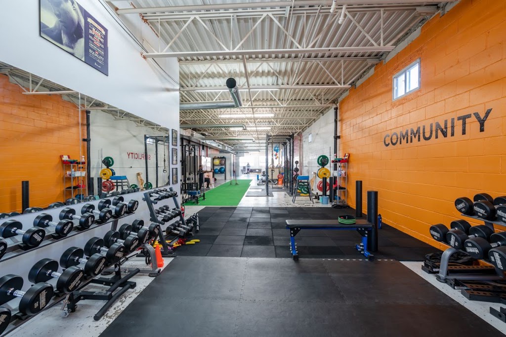 Iron Lion Training | 346 Ryding Ave #201, Toronto, ON M6N 1H5, Canada | Phone: (647) 998-5466