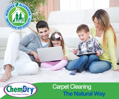 Metro Chem-Dry | 2857 Sherwood Heights Dr Unit #4, Oakville, ON L6J 7J9, Canada | Phone: (905) 275-1209