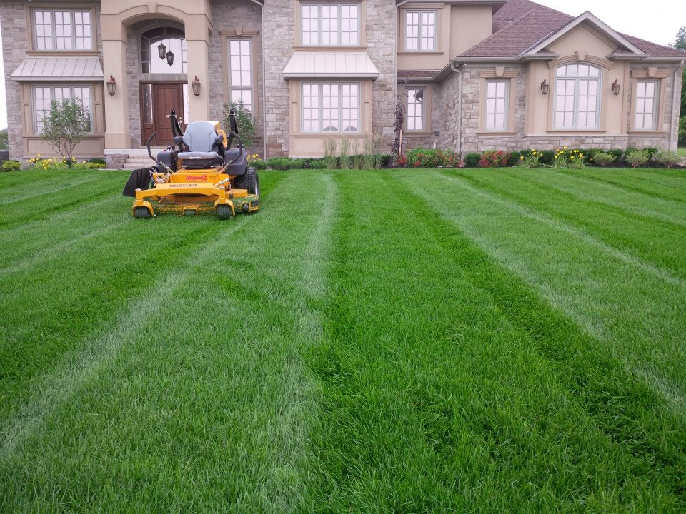 Triple L Lawn & Landscape | 15 Arrowhead Crescent, Kitchener, ON N2P 1C1, Canada | Phone: (519) 778-8745