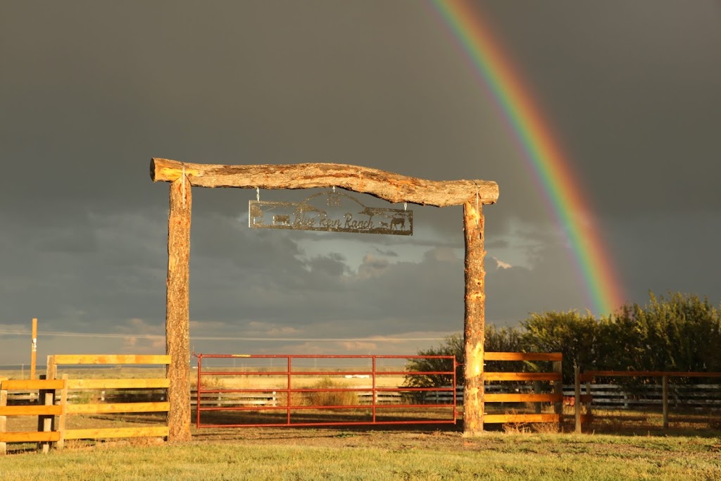 Alberta Grass Fed Beef | RR 82065 Rge Rd 253, Fort Macleod, AB T0L 0Z0, Canada | Phone: (403) 894-7302