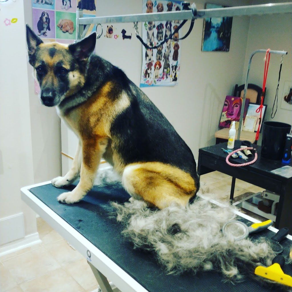 Dog&Cat Grooming in Newmarket, Ontario | Burgess Crescent, Newmarket, ON L3X, Canada | Phone: (905) 392-7467