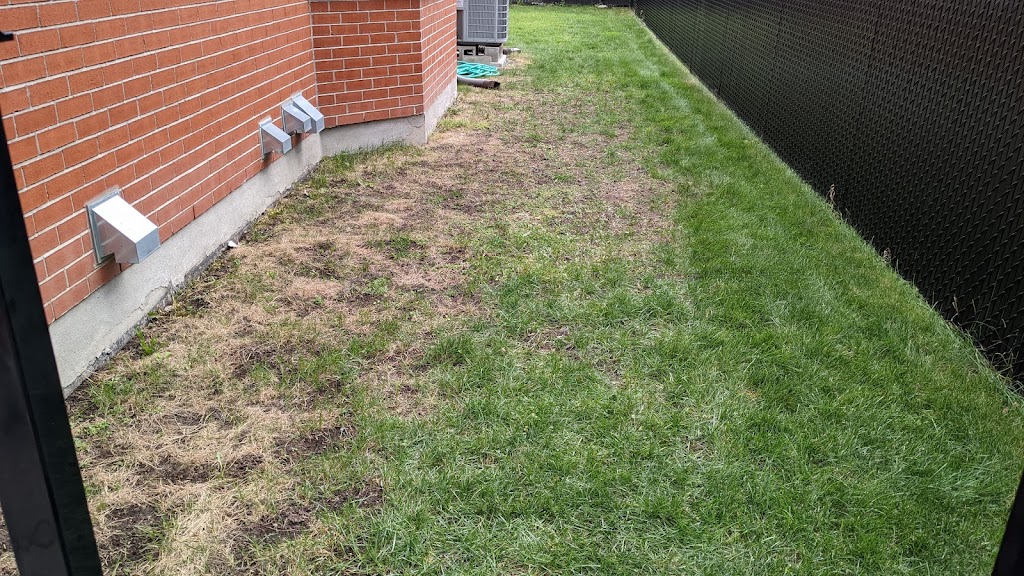 Pro-Lawn Companies | 7935 Av. Naples, Brossard, QC J4Y 1V8, Canada | Phone: (514) 865-2561