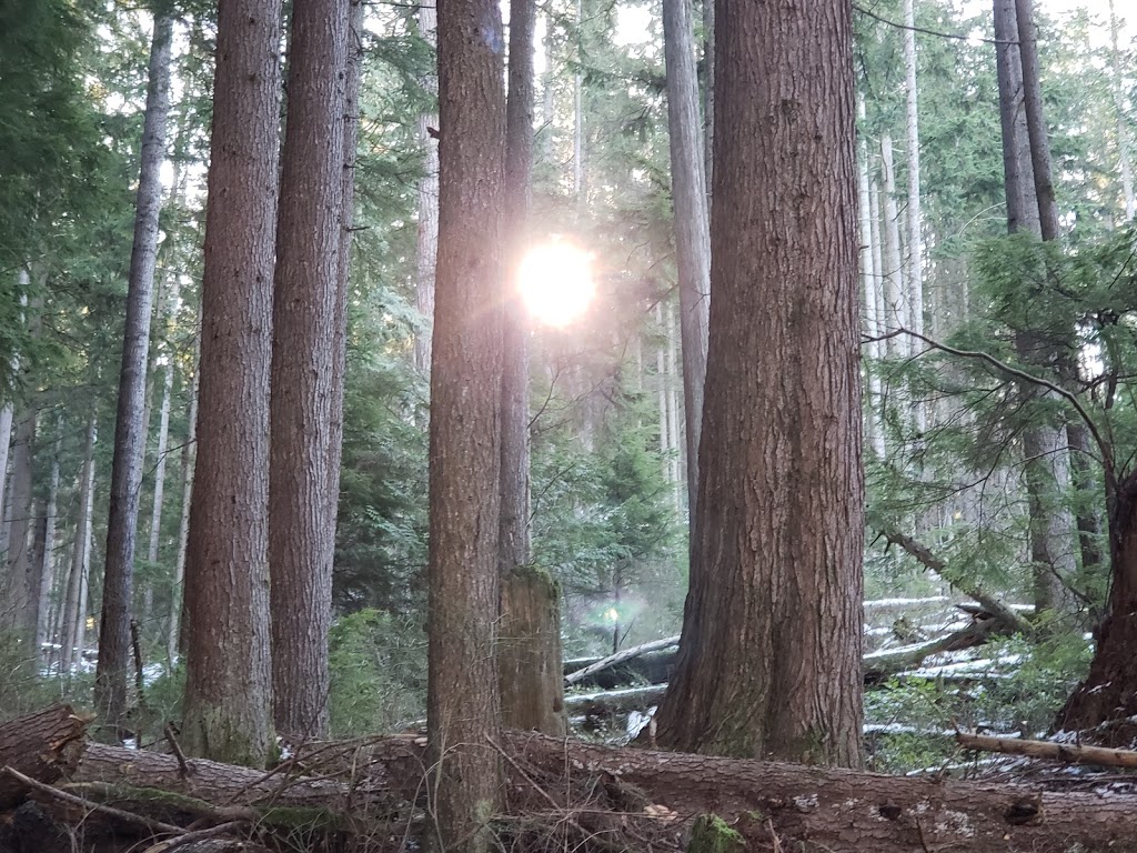 Woodhaven Swamp | Woodhaven, Belcarra, BC V3H 4R6, Canada