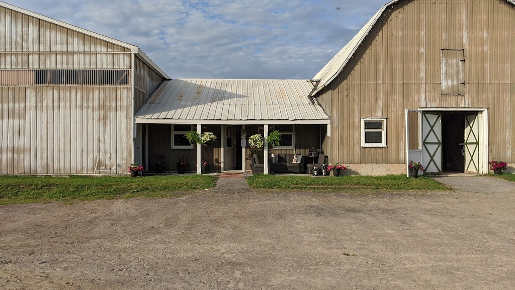 Fiddlers Green Stables | 6575 Flewellyn Rd, Ottawa, ON K2S 1B6, Canada | Phone: (613) 858-9366