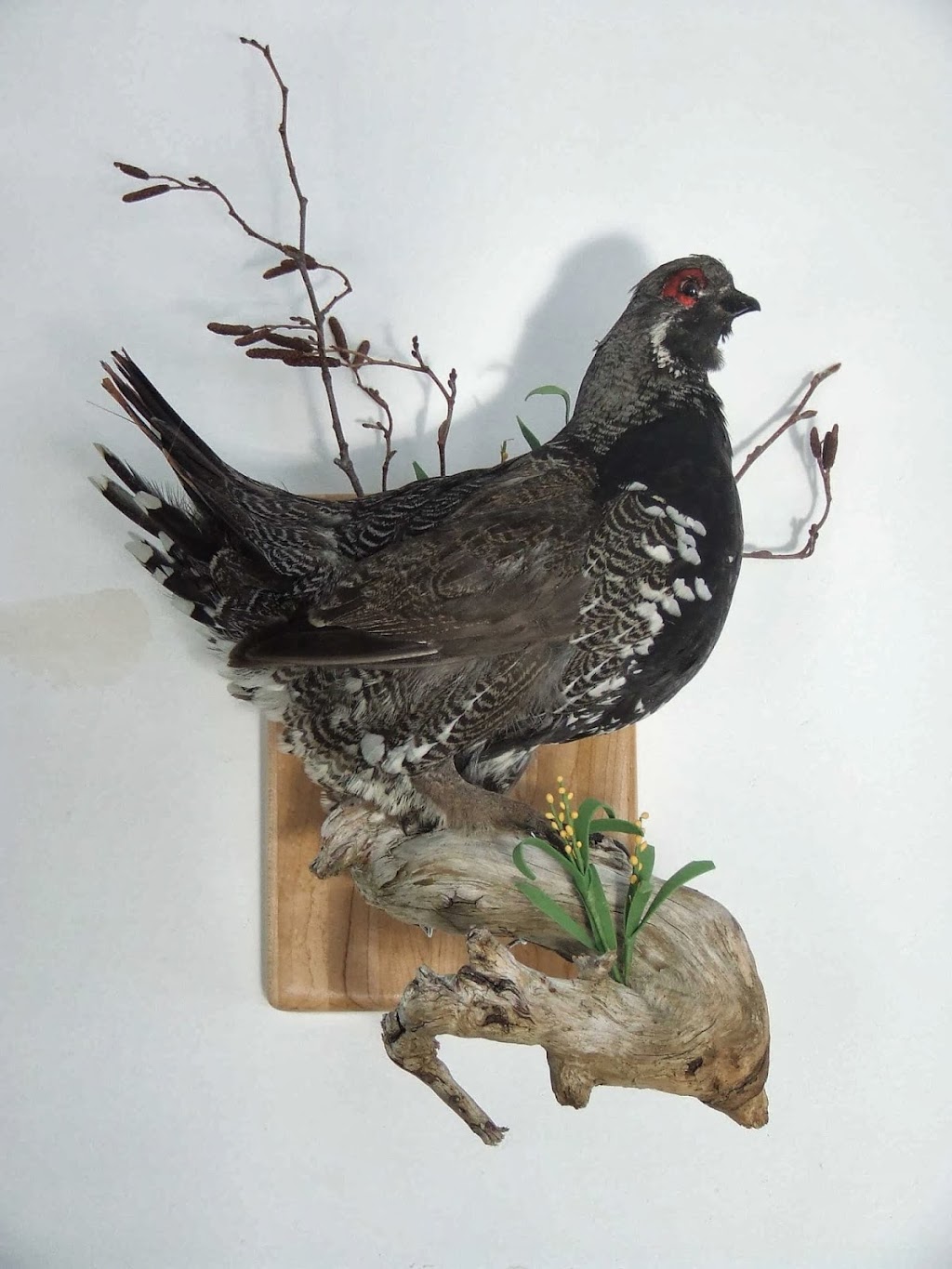 Taxidermie Atelier De La Nature | 259 Rue des Érables, Saint-Lambert-de-Lauzon, QC G0S 2W0, Canada | Phone: (418) 889-9314