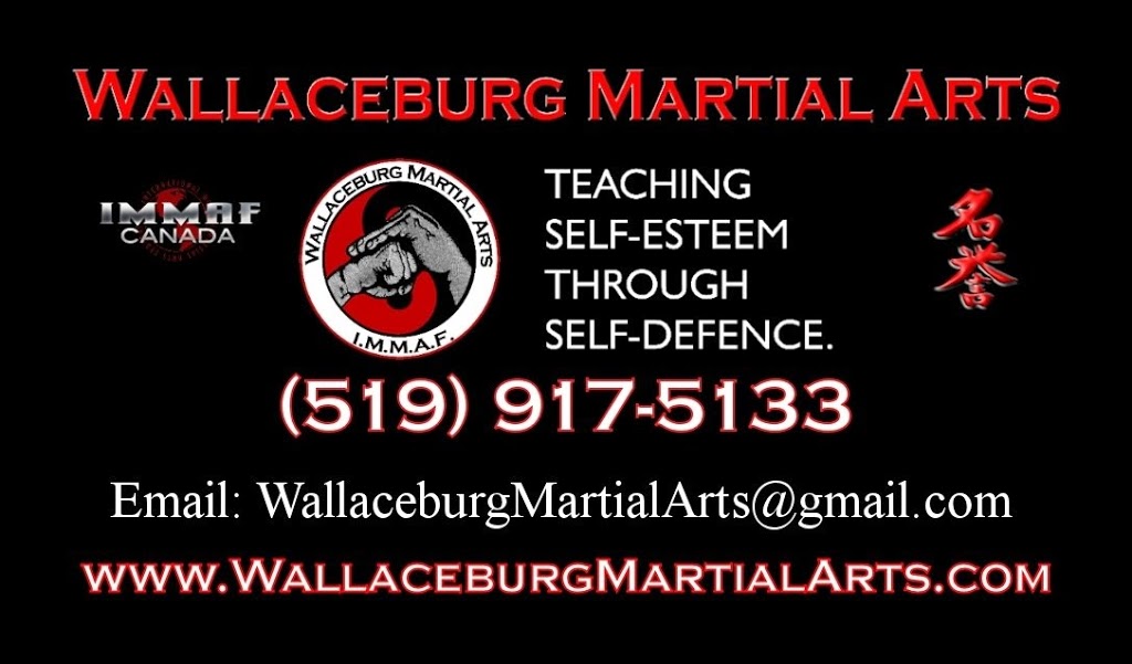 Wallaceburg Martial Arts | 505 King St, Wallaceburg, ON N8A 1J1, Canada | Phone: (519) 917-5133