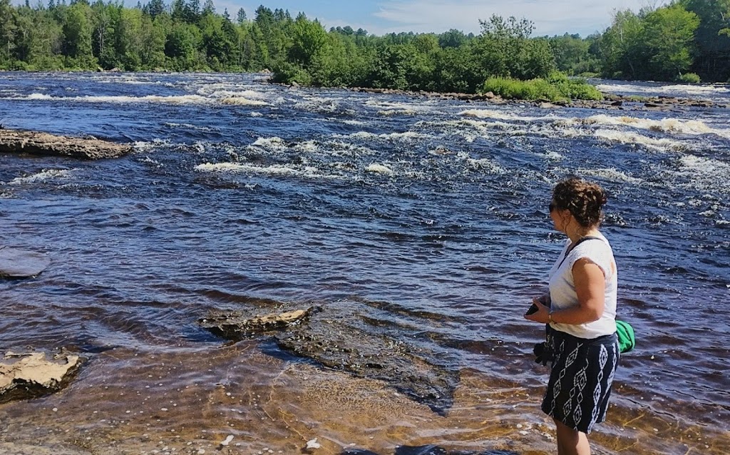 Parc Pont Rouge | 67 Boul Notre Dame #27, Pont-Rouge, QC G3H 3K4, Canada