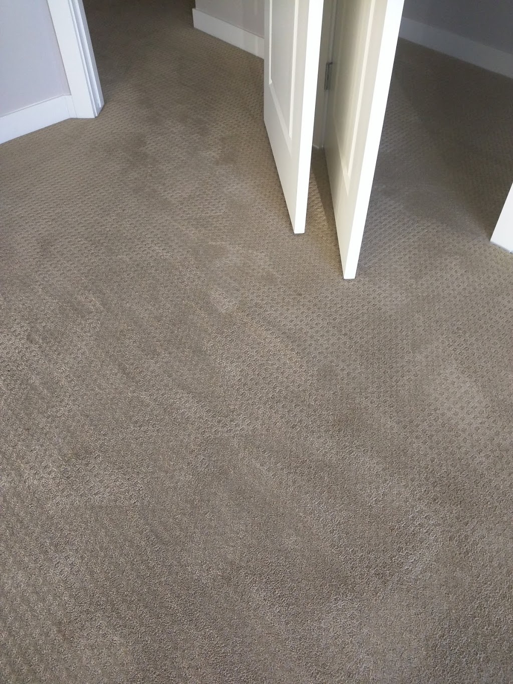 Power Carpet Cleaning | Twin Brooks, Edmonton, AB T6J 5A7, Canada | Phone: (780) 399-5578