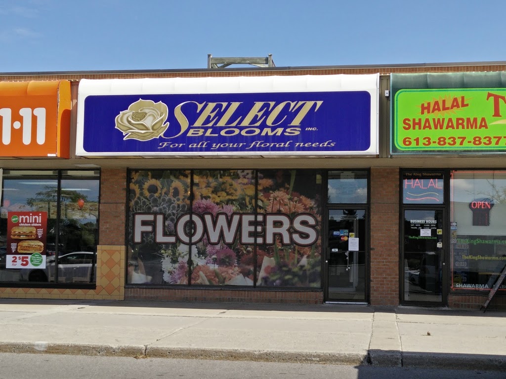 Select Blooms | 1675 Tenth Line Rd, Orléans, ON K1E 3P6, Canada | Phone: (613) 837-9966