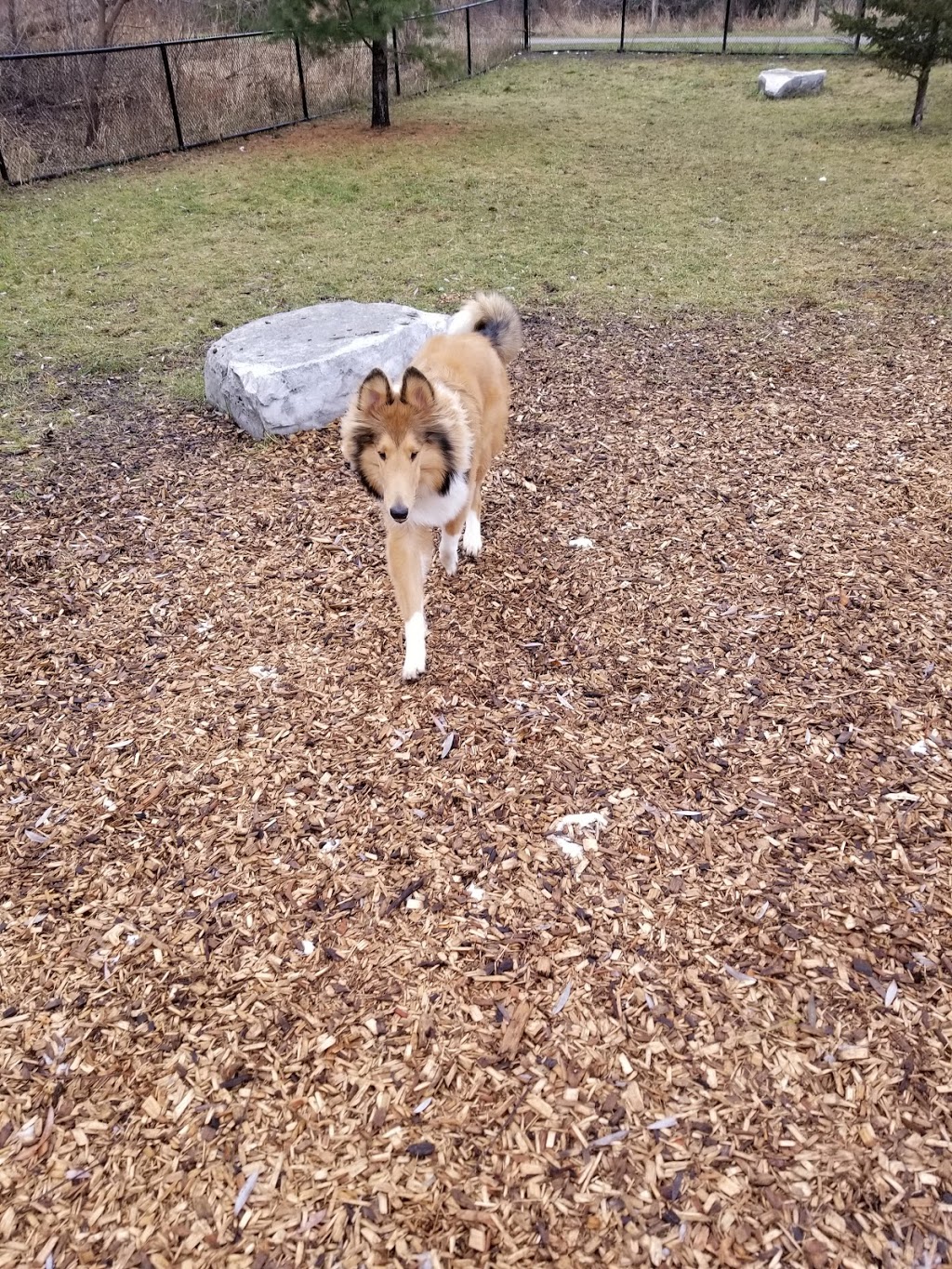 Duggan Park Off-Leash Area | 100 Ken Whillans Dr, Brampton, ON L6V 0A4, Canada