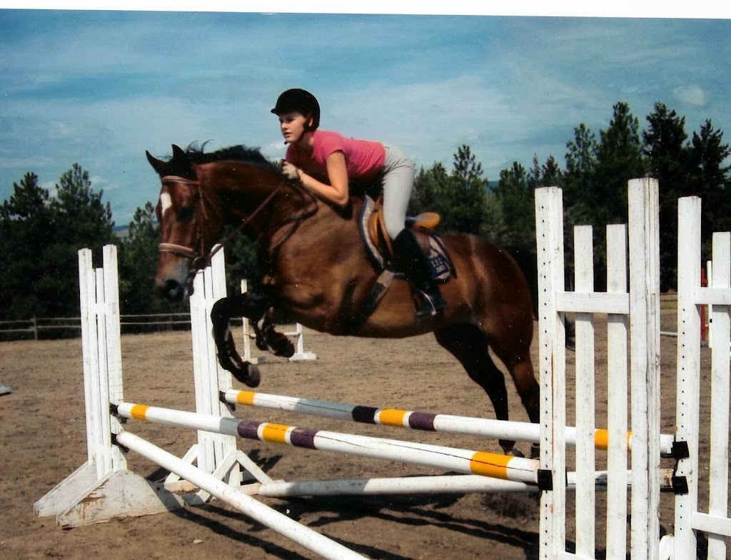 A & T Equestrian Centre | 4615 190 St, Surrey, BC V3Z 1B2, Canada | Phone: (604) 574-3211