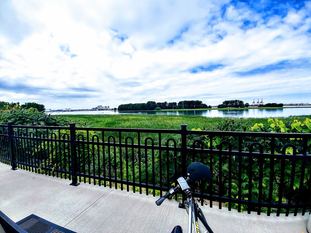 Parc de la Pointe-du-Marigot | Longueuil, QC, Canada