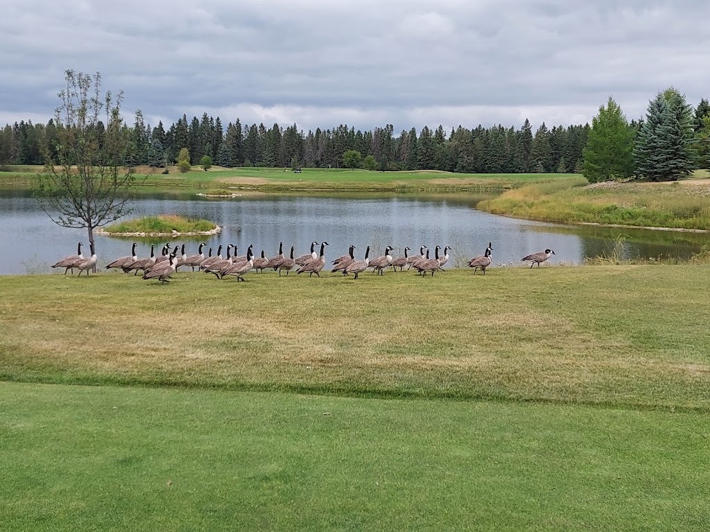 River Bend Golf & Recreation Area | 3800 River Bend Drive, Red Deer, AB T4P 0Y4, Canada | Phone: (403) 343-8311