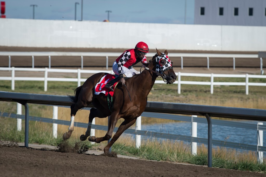 Century Downs Racetrack and Casino | 260 Century Downs Drive, Rocky View No. 44, AB T4A 0V5, Canada | Phone: (587) 349-7777