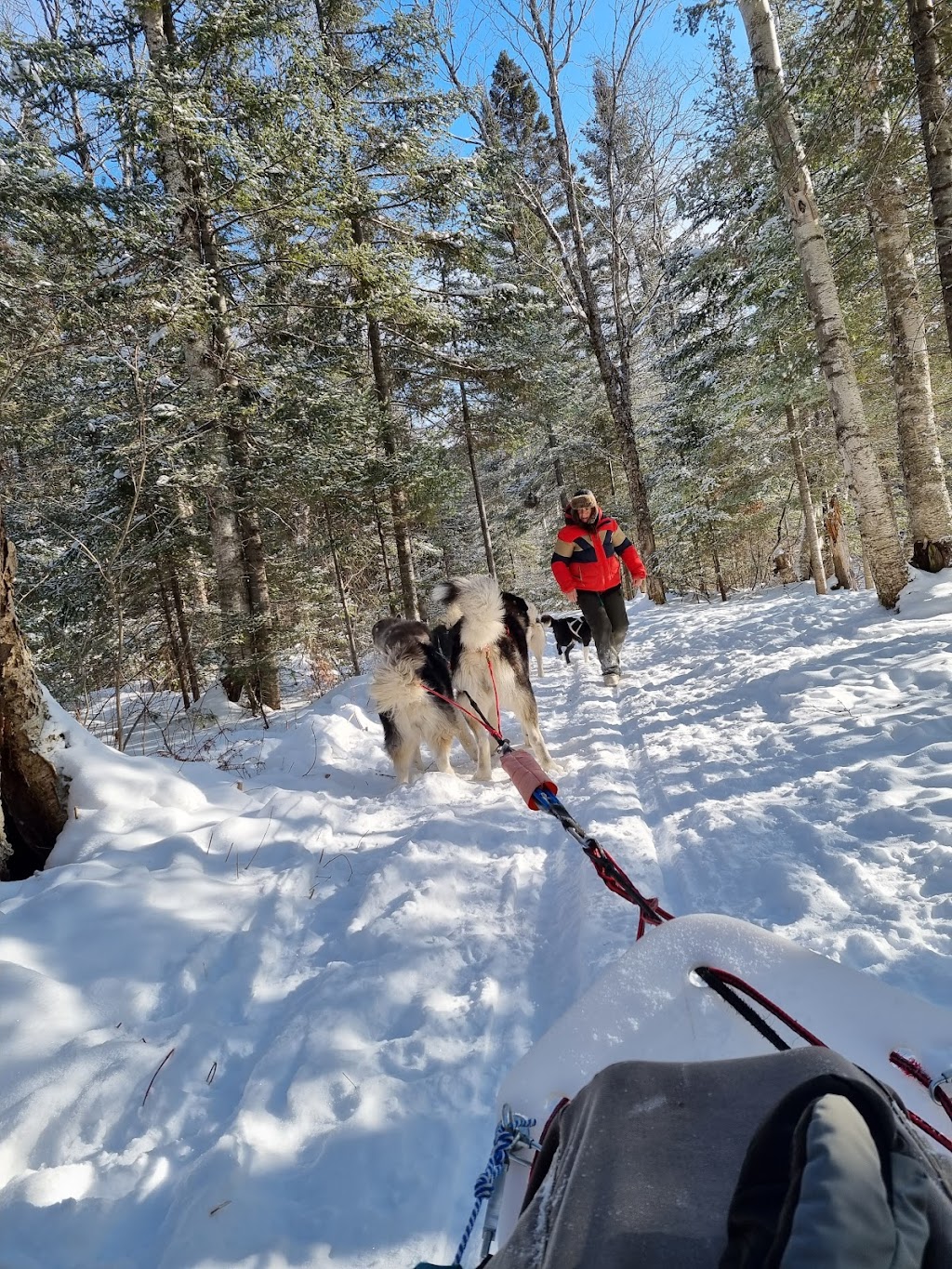 Between Dog And Wolf s.e.n.c. | 190 Chem. Périgny, LAnse-Saint-Jean, QC G0V 1J0, Canada | Phone: (418) 272-1540