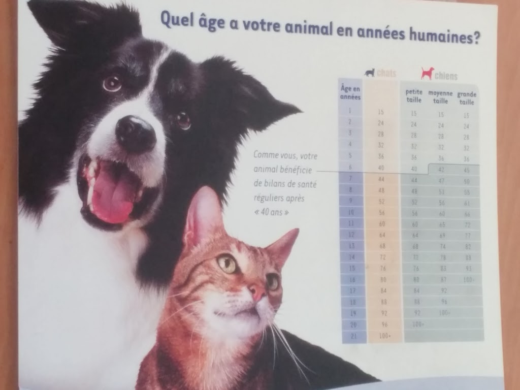 Veterinary Clinic Beaubien inc. | 1306 Rue Beaubien E, Montréal, QC H2G 1K8, Canada | Phone: (514) 272-3291