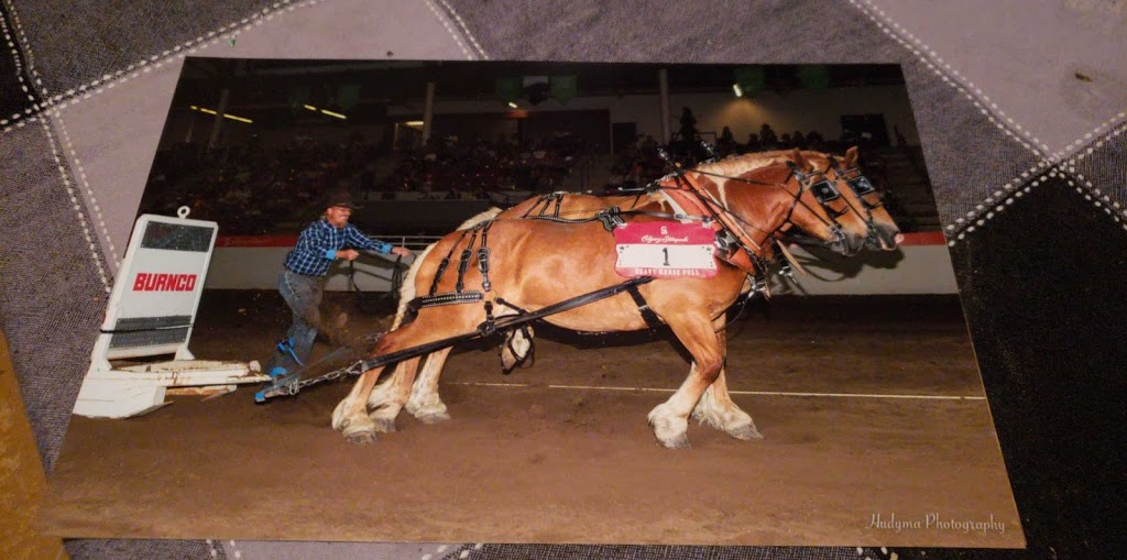 Natural Touch Equine Farm | Range Rd 245, Wheatland County, AB T0J 2R0, Canada | Phone: (403) 901-8117