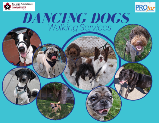 Dancing Dogs - Walking Services | 475 Rogers Rd, Toronto, ON M6M 0B3, Canada | Phone: (647) 409-3115