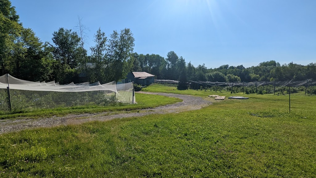 Au Jardin des fées bleues inc | 3710 Rang St Alexis, Saint-Luc-de-Vincennes, QC G0X 3K0, Canada | Phone: (438) 879-5880