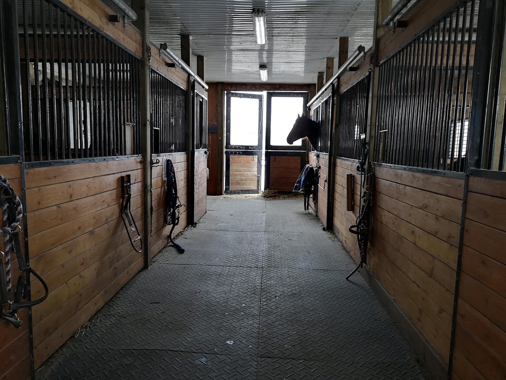 Irish Creek Stables | 6530 Wellington County Rd 34, Cambridge, ON N3C 2V4, Canada | Phone: (519) 658-2998