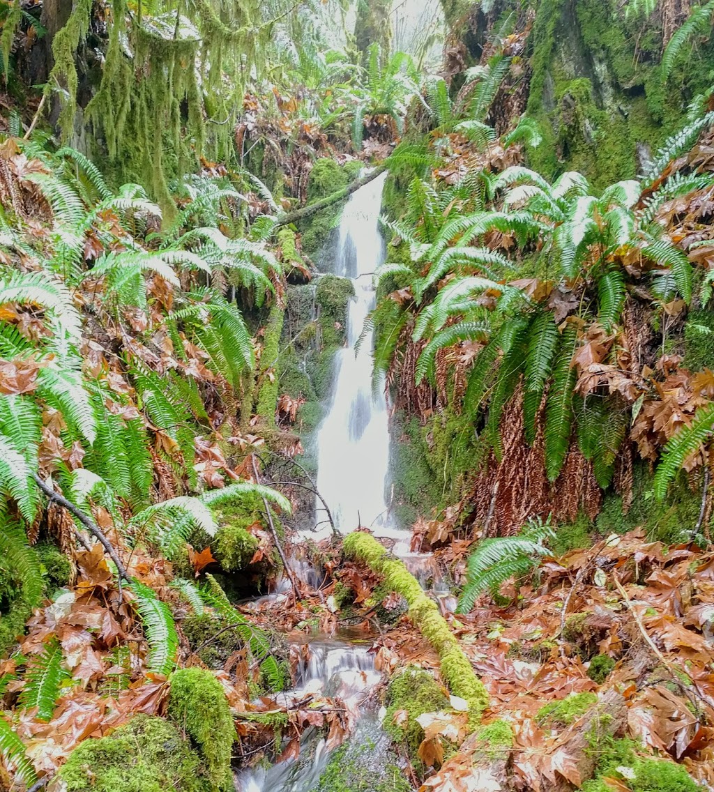 Goldmine Trail Head | Langford, BC V0R, Canada