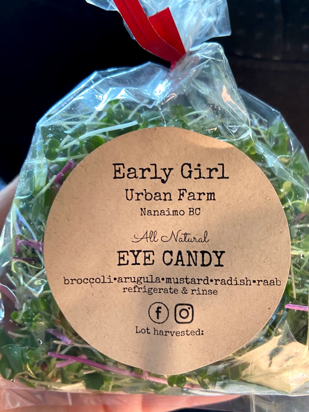 Early Girl Urban Farm | 2389 Ashlee Rd, Nanaimo, BC V9R 6T2, Canada | Phone: (250) 714-1571