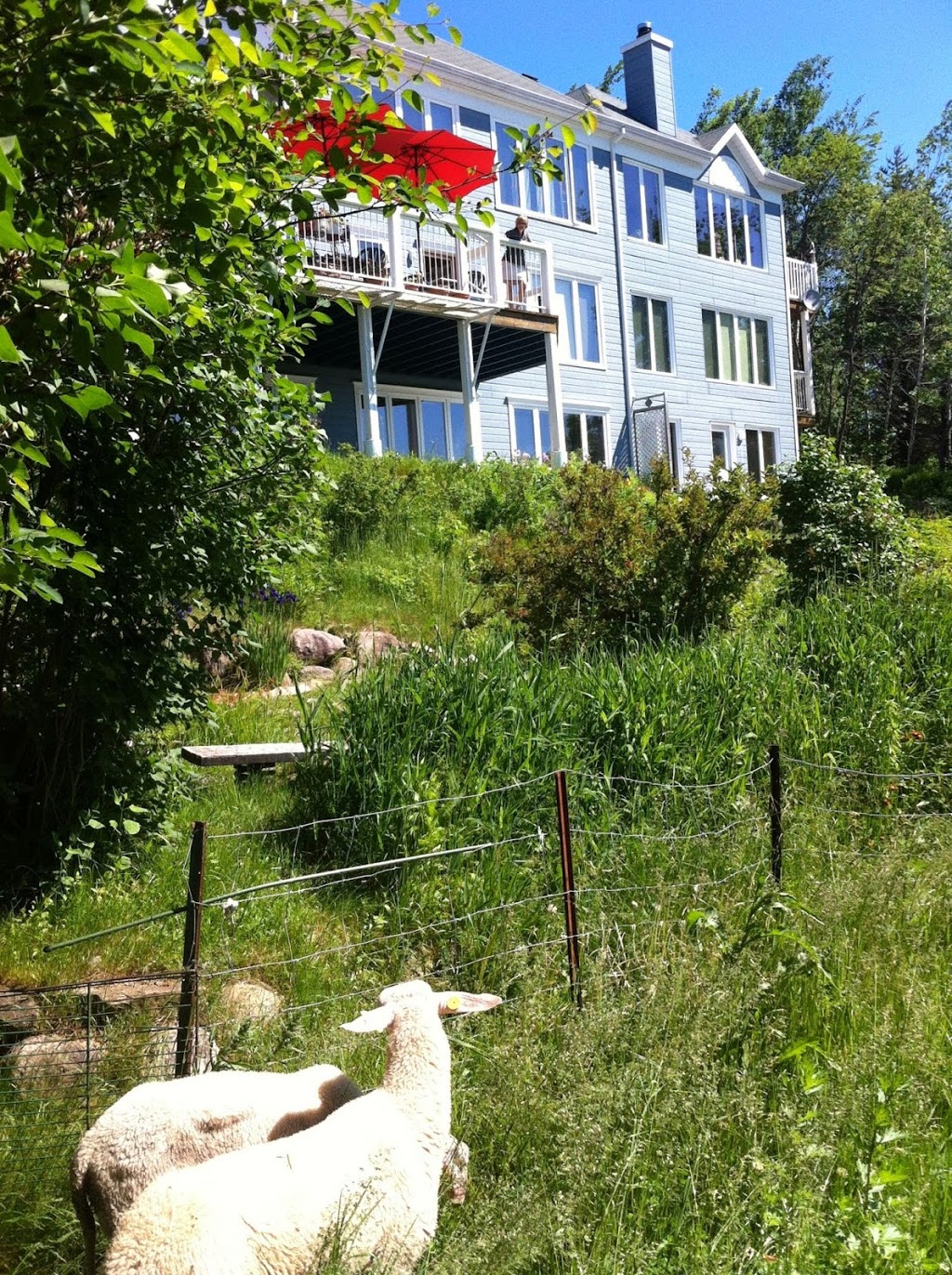 Auberge Cap aux Corbeaux | 62 Rue du Nordet, Baie-Saint-Paul, QC G3Z 3C1, Canada | Phone: (418) 435-5676