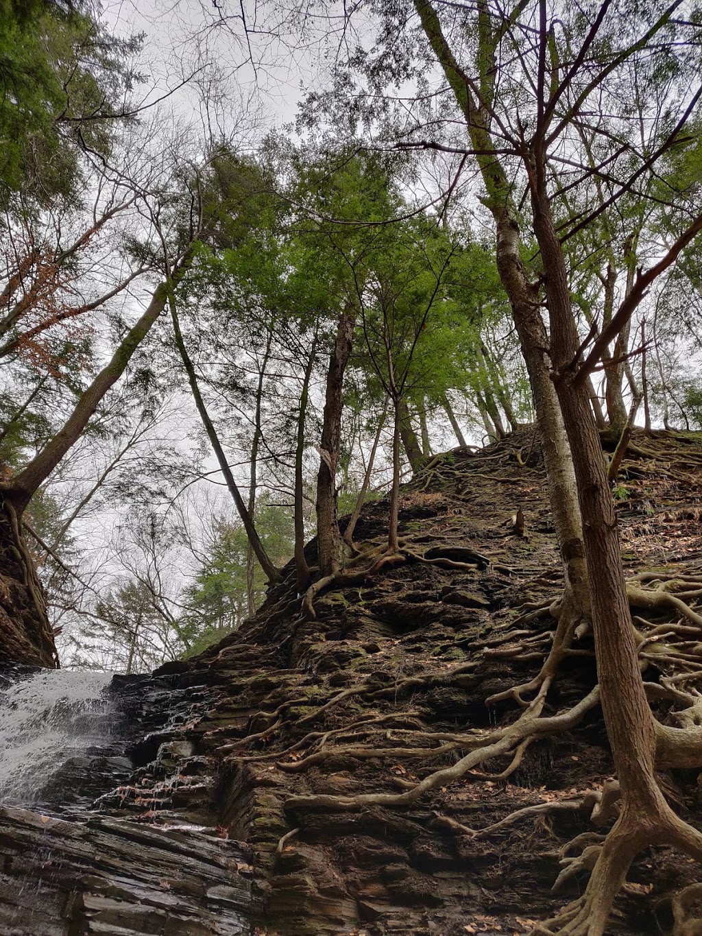 Eternal Flame | Eternal Flame, Orchard Park, NY 14127, USA