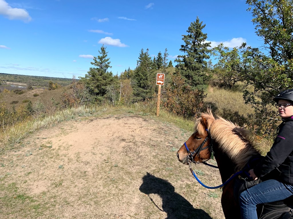 Spruce Woods Equestrian Campground | MB-5, South Cypress, MB R0K 0P0, Canada | Phone: (204) 827-8851