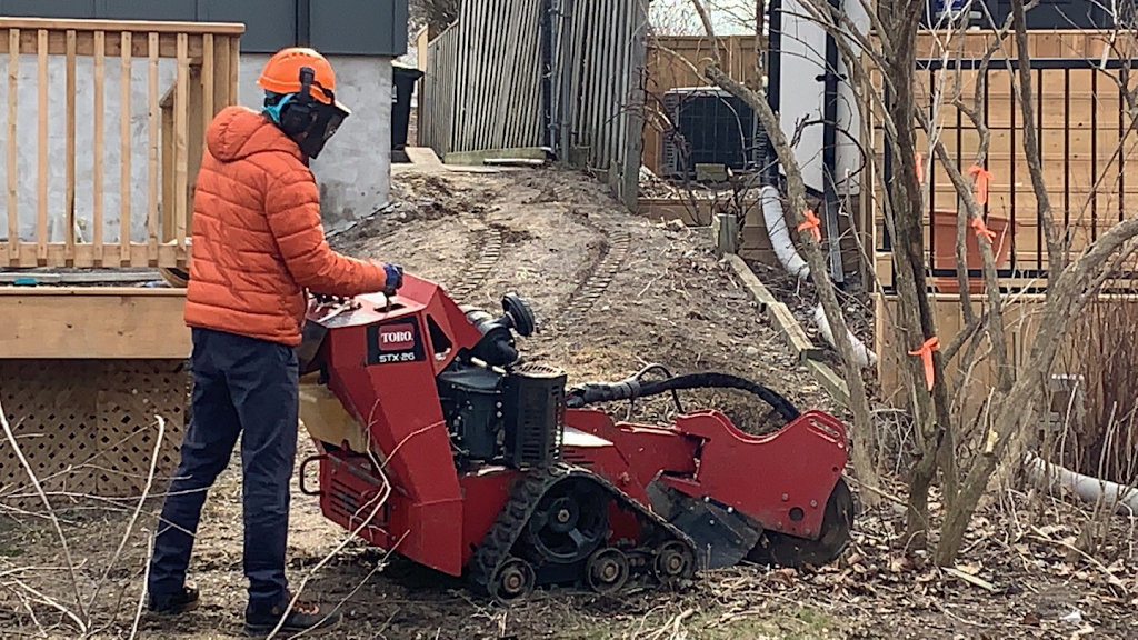 Stump King (Stump Removal Specialist) | 3381 Vernon Powell Dr, Oakville, ON L6H 0Y3, Canada | Phone: (416) 518-3152