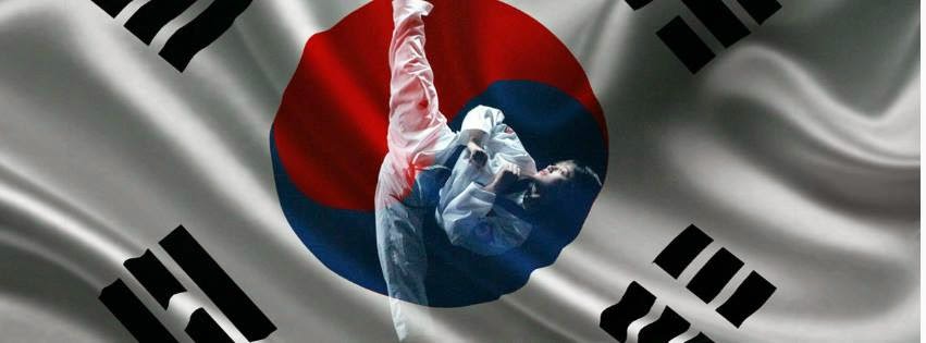 Hong Park Tae Kwon Do College | 9159 25 Ave NW, Edmonton, AB T6N 0A5, Canada | Phone: (780) 433-6567