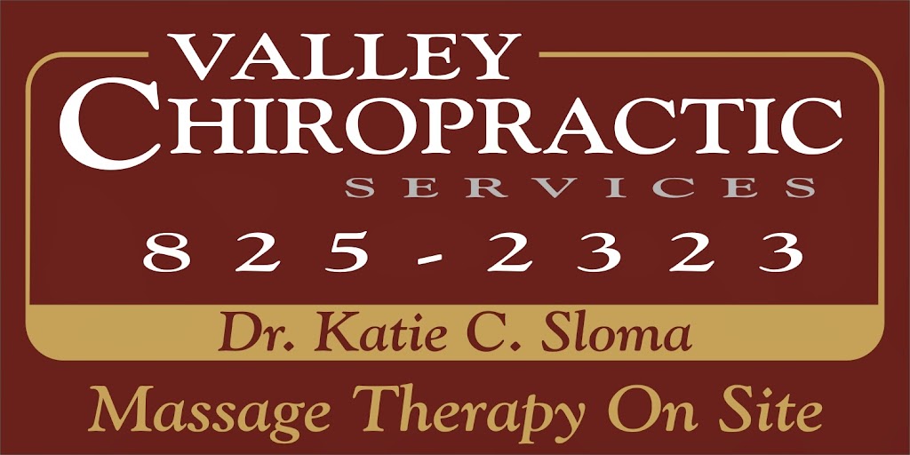 Valley Chiropractic Services | 239 Marshall St, Middleton, NS B0S 1P0, Canada | Phone: (902) 825-2323