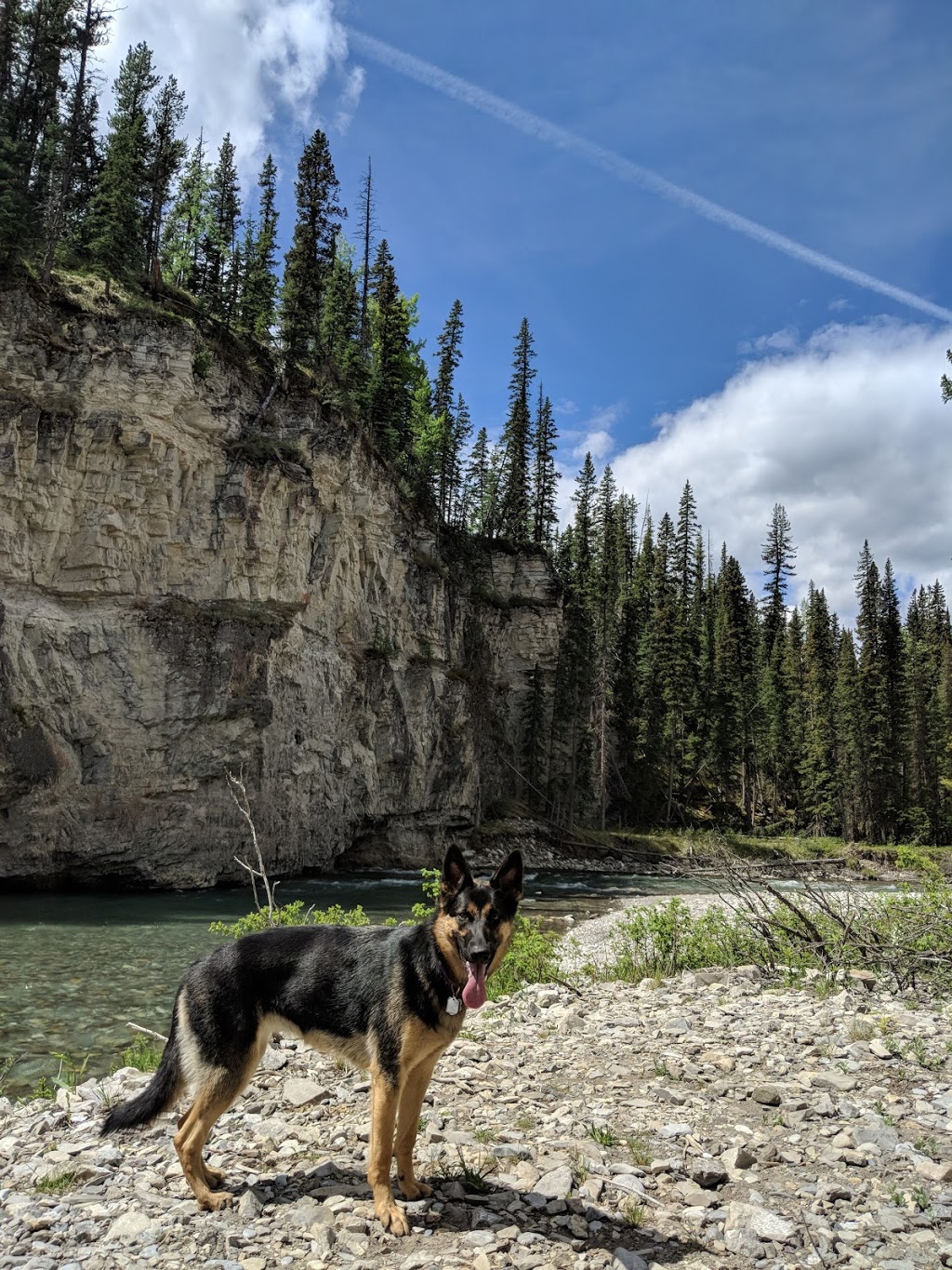 Elbow River Launch - Provincial Recreation Area | Kananaskis, AB T0L 0K0, Canada | Phone: (403) 949-4261