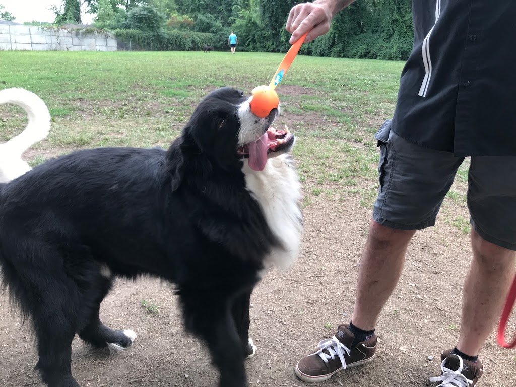 Town of Île-Perrot - Dog Park | Coin Montée Sagala et 9e Avenue, LÎle-Perrot, QC J7V 3G1, Canada | Phone: (514) 453-1751