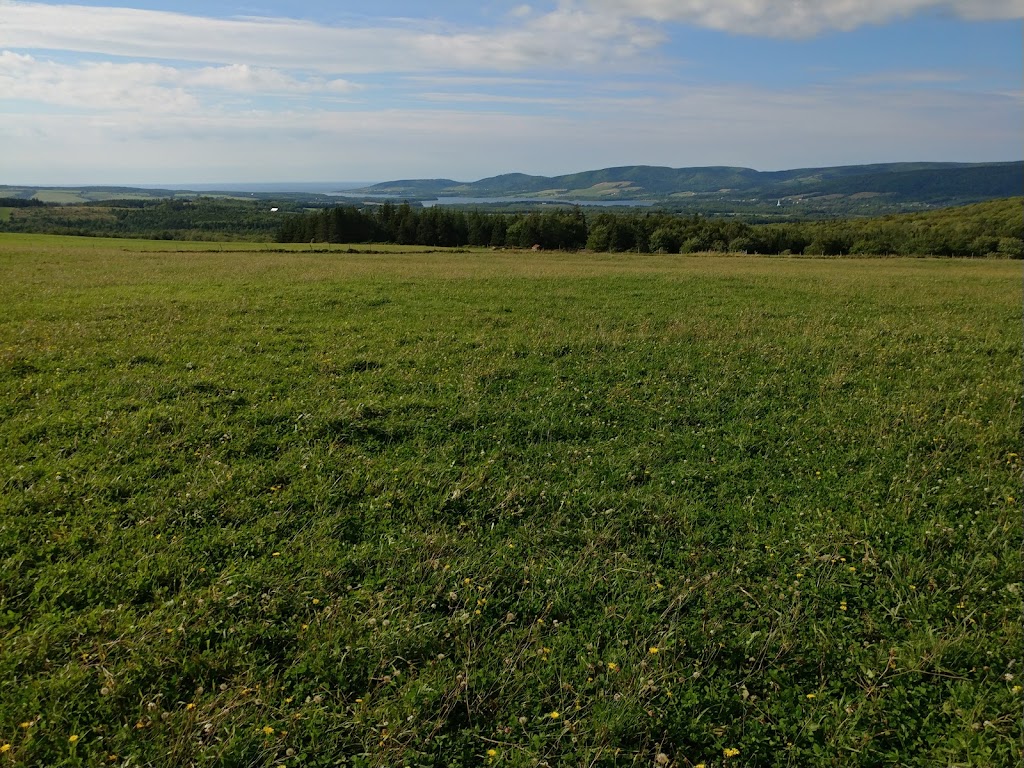 Mabou Ridge Farm | Mabou Station, NS B0E 1X0, Canada | Phone: (902) 945-2248